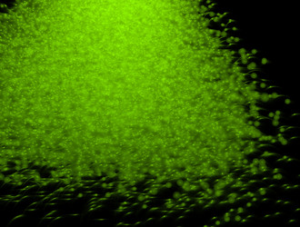 Similar image 21614109