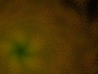 Similar image 21618478