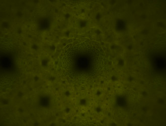 Similar image 21612836