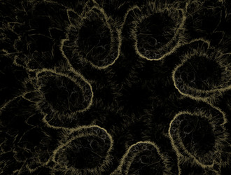 Similar image 21610301