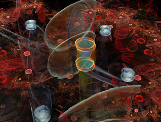 Similar image 21624308