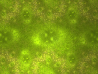 Similar image 21624103