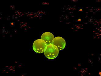 Similar image 21613673