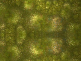 Similar image 21618839