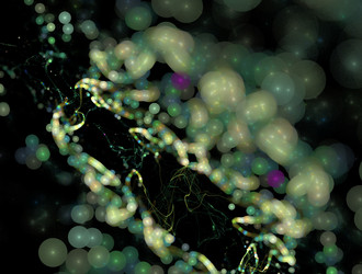 Similar image 21621050