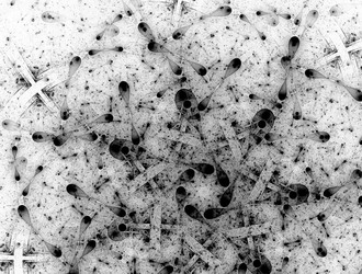 Similar image 21614888