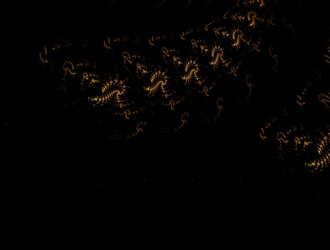 Similar image 21617681