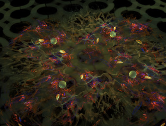 Similar image 21612077