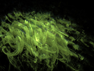 Similar image 21617341