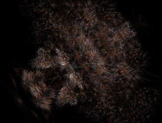 Similar image 21618493