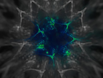 Similar image 21622881