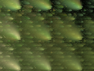 Similar image 21624322