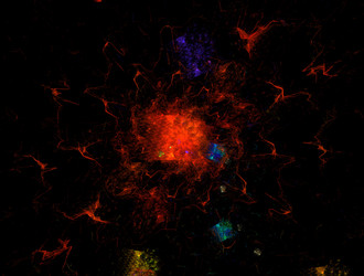 Similar image 21610313