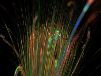 Similar image 21618499