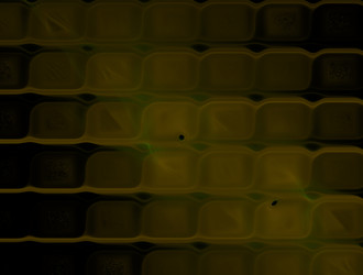 Similar image 21619811