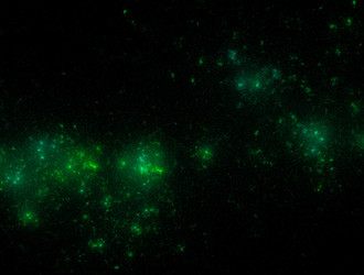 Similar image 21617700