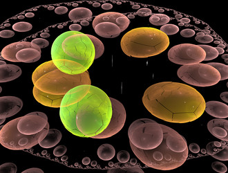 Similar image 21617704