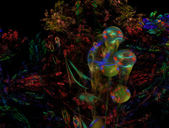 Similar image 21618115