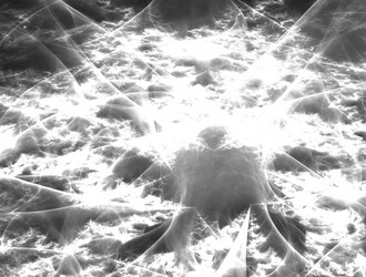 Similar image 21617712