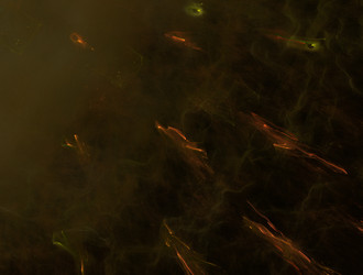 Similar image 21616179