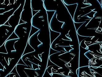 Similar image 21624786