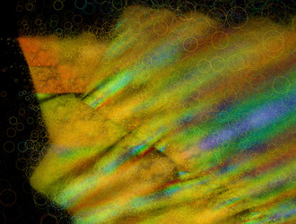 Similar image 21618971