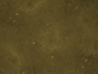 Similar image 21624113