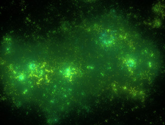 Similar image 21612868