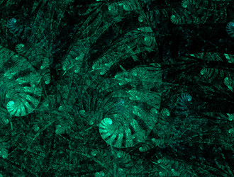 Similar image 21618511