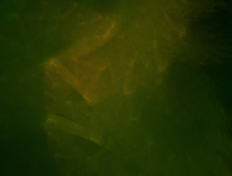 Similar image 21612558