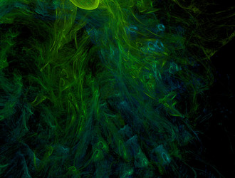 Similar image 21617050