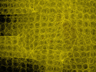 Similar image 21624119