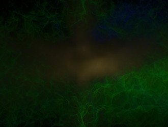 Similar image 21618524