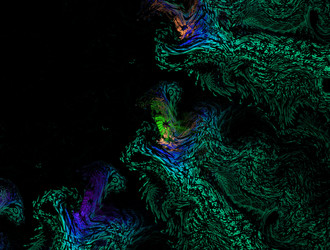 Similar image 21616676