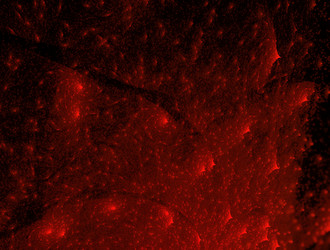 Similar image 21616678