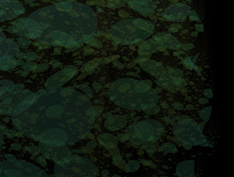 Similar image 21611831