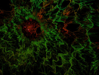 Similar image 21614608