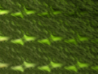 Similar image 21610354