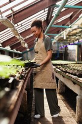 Similar image 21578196