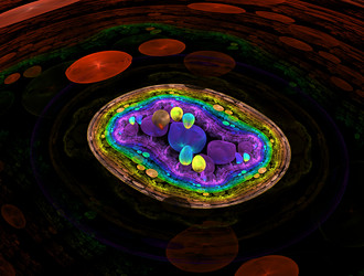 Similar image 21625294