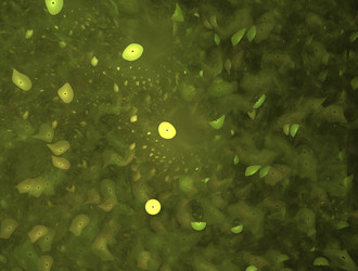 Similar image 21623468