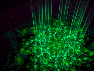 Similar image 21624126