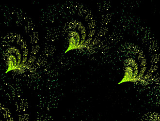 Similar image 21624812