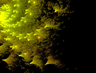 Similar image 21624814