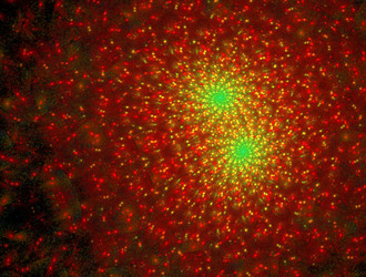 Similar image 21614146