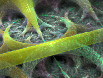 Similar image 21615442