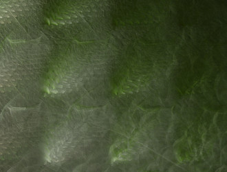 Similar image 21612117