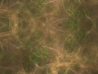 Similar image 21617355