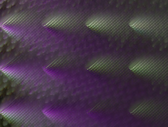 Similar image 21617571