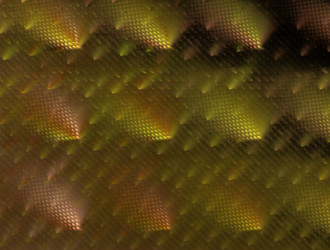 Similar image 21612121